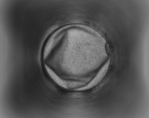 X0000092040104200710031032