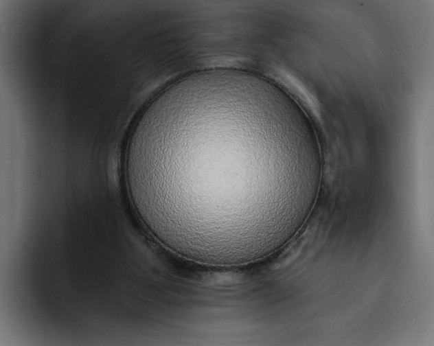 X0000092040107200710031032