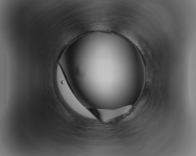 X0000092040109200710031032