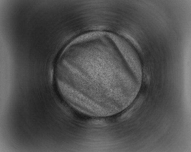 X0000092040110200710031032