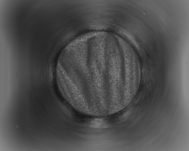 X0000092040114200710031031