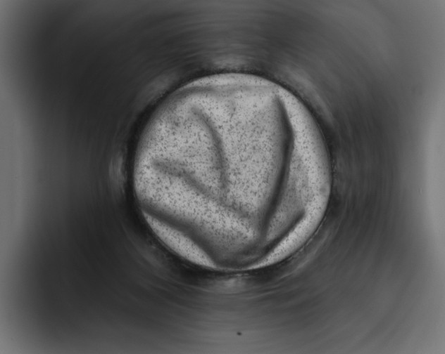 X0000092040116200710031031