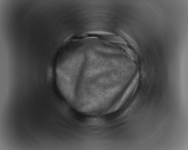 X0000092040117200710031031