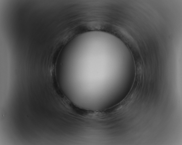 X0000092040125200710031031