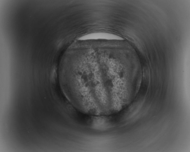 X0000092040127200710031031