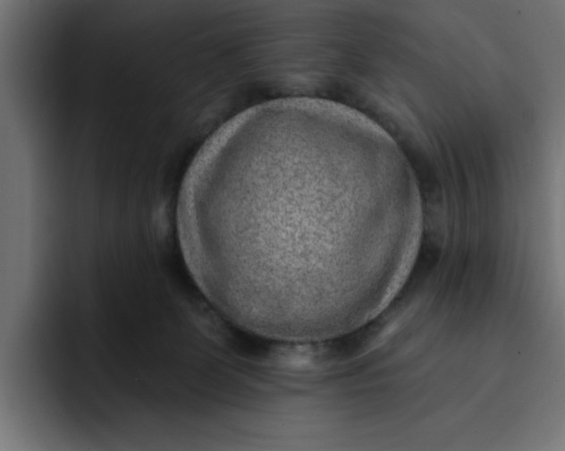 X0000092040131200710031031