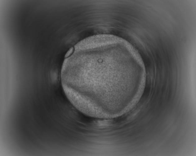 X0000092040134200710031031