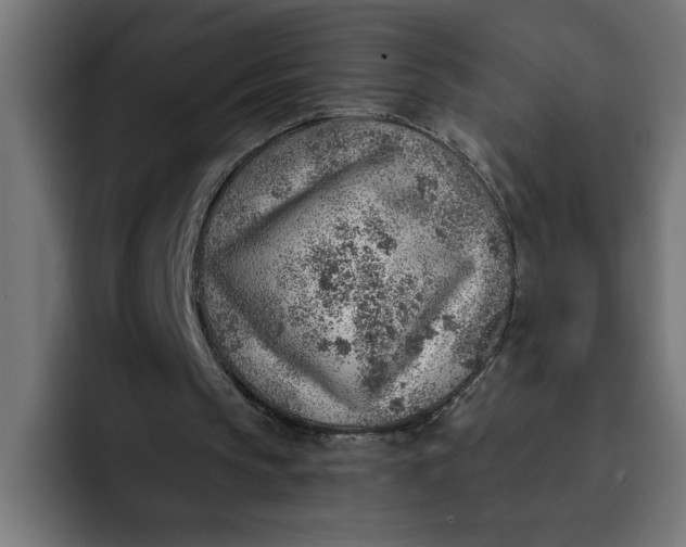 X0000092040145200710031031