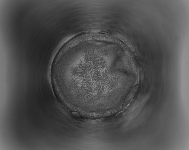 X0000092040147200710031031