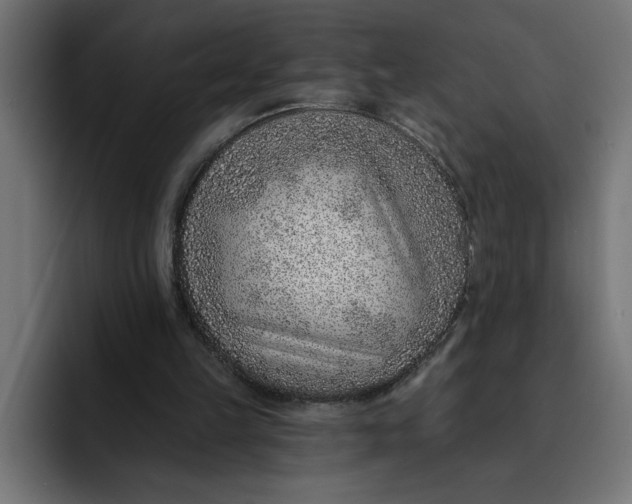 X0000092040149200710031031