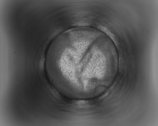 X0000092040153200710031031