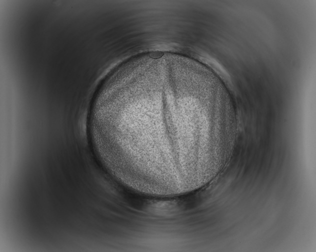 X0000092040155200710031031