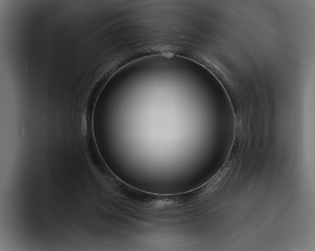 X0000092040158200710031031