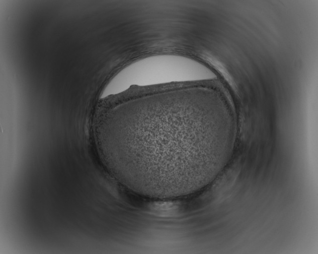 X0000092040161200710031031