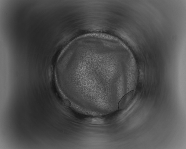 X0000092040165200710031031