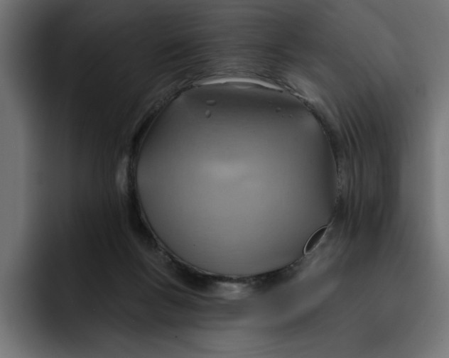 X0000092040167200710031031