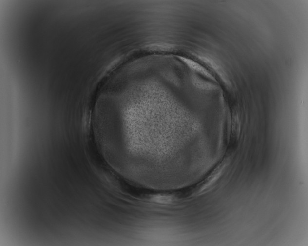 X0000092040168200710031031