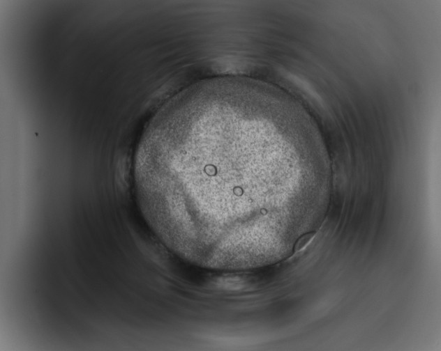 X0000092040171200710031031