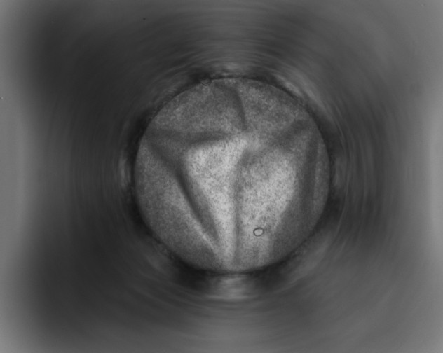 X0000092040173200710031031