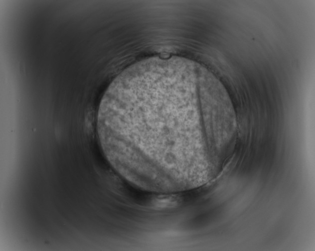 X0000092040175200710031031