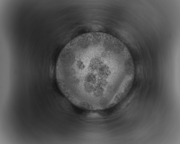 X0000092040177200710031031