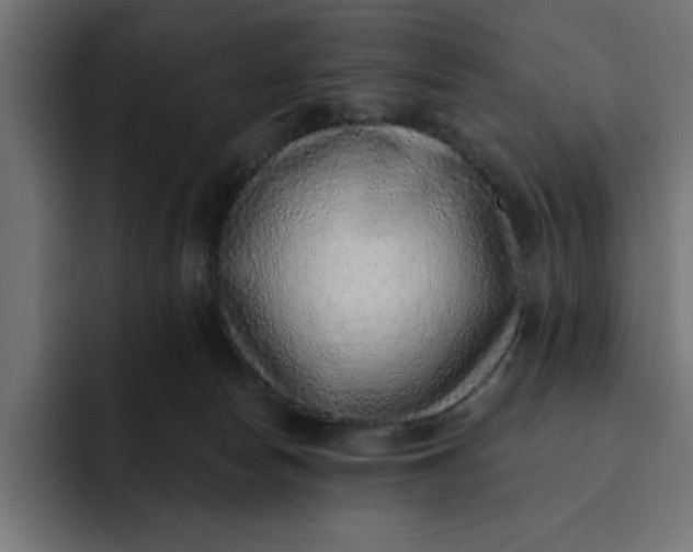 X0000092040178200710031031