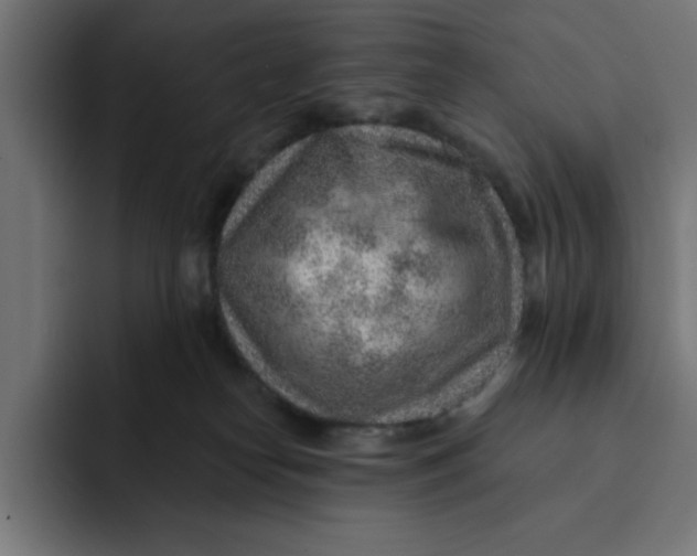 X0000092040182200710031031