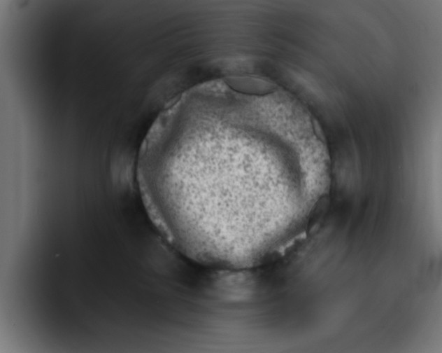 X0000092040185200710031031