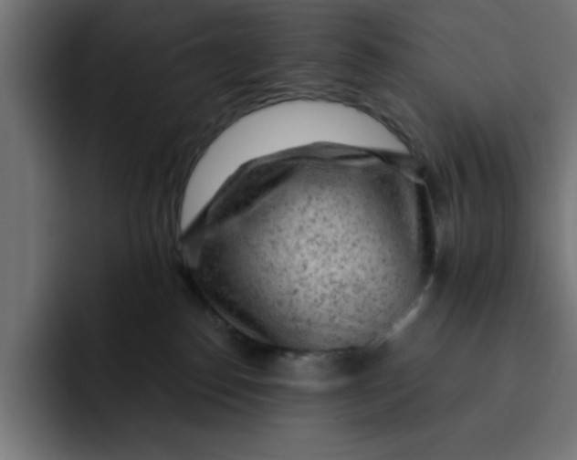 X0000092040186200710031031