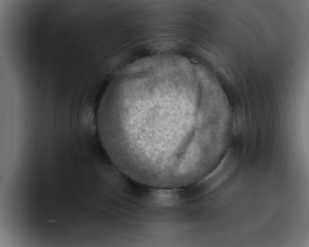 X0000092040187200710031031