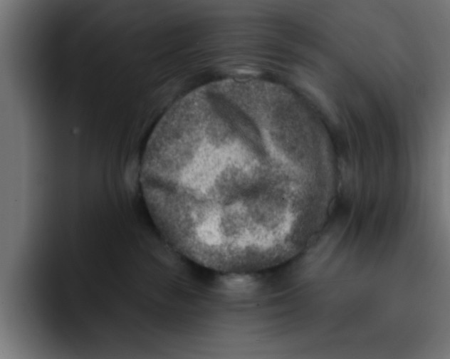 X0000092040189200710031031