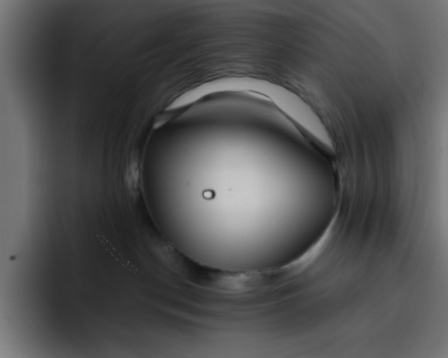 X0000092040190200710031031