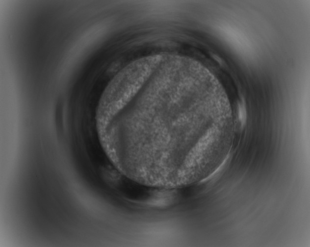 X0000092040191200710031031