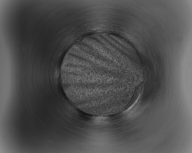 X0000092040192200710031031