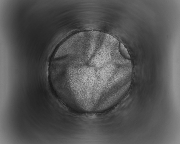 X0000092040194200710031031