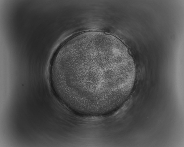 X0000092040198200710031030