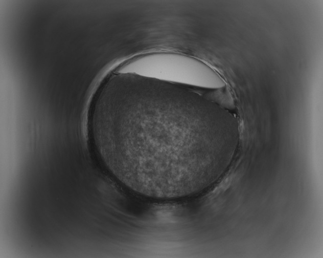 X0000092040200200710031030