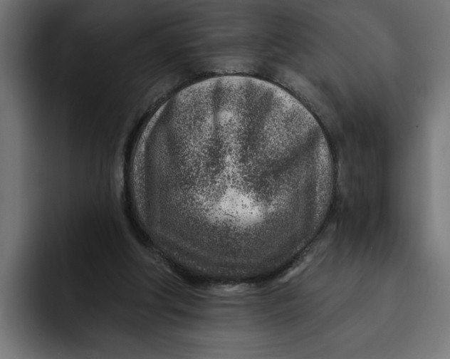 X0000092040202200710031030