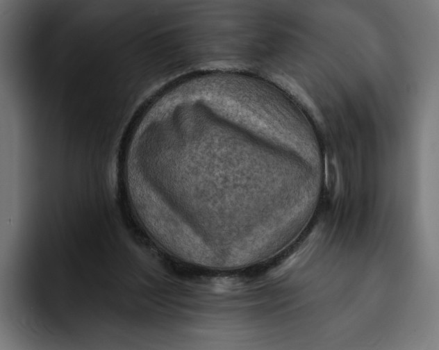 X0000092040204200710031030