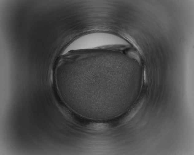 X0000092040205200710031030