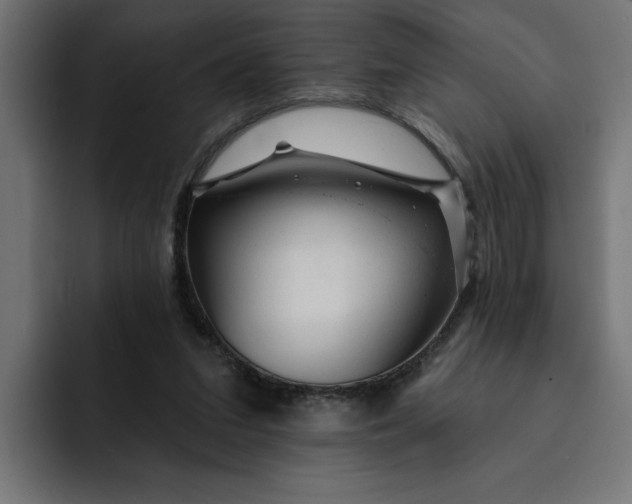 X0000092040207200710031030