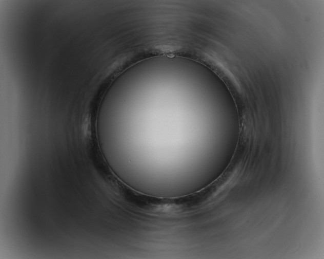 X0000092040212200710031030