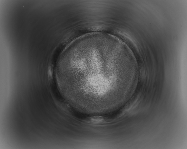 X0000092040214200710031030