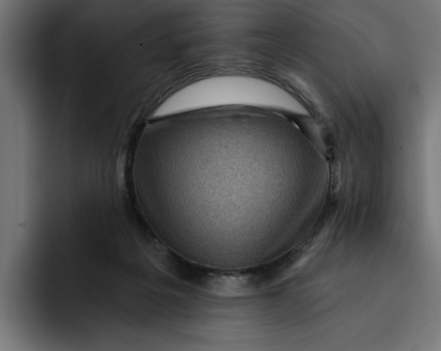 X0000092040217200710031030