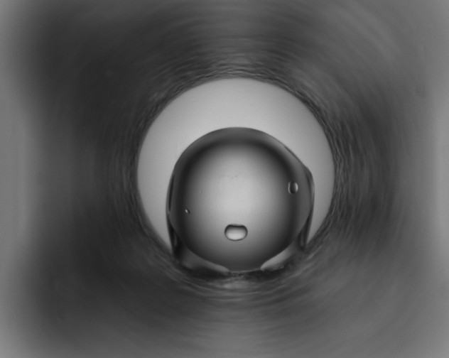 X0000092040219200710031030