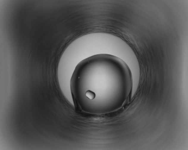 X0000092040220200710031030