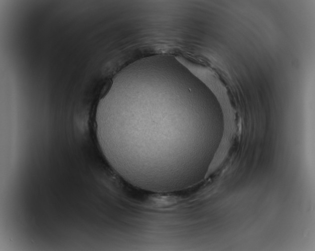 X0000092040221200710031030