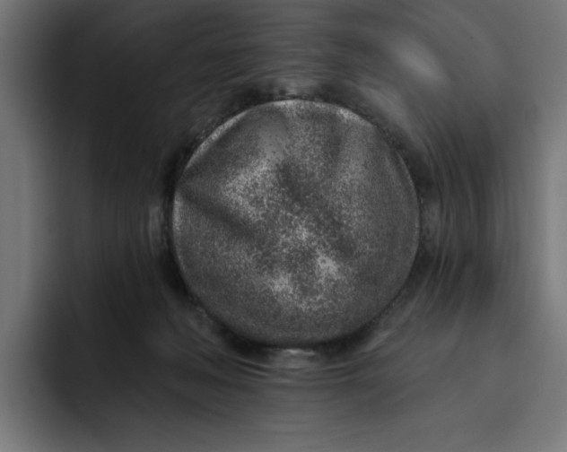 X0000092040222200710031030