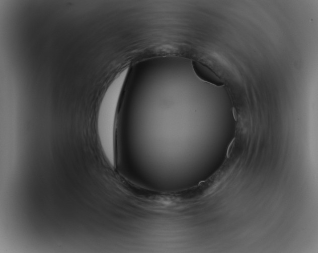 X0000092040223200710031030