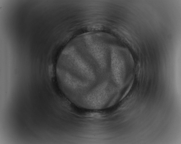 X0000092040224200710031030